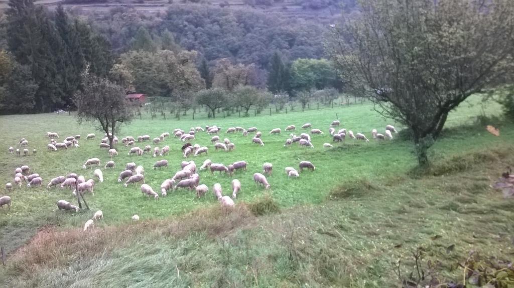 Antica Casa Ortensia Riva del Garda Ruang foto
