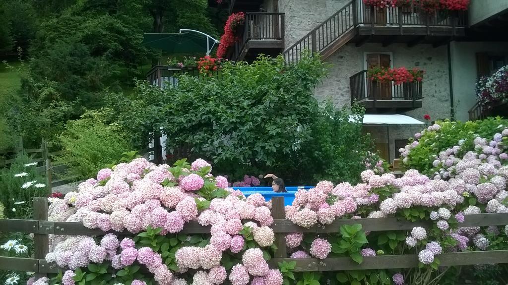 Antica Casa Ortensia Riva del Garda Ruang foto